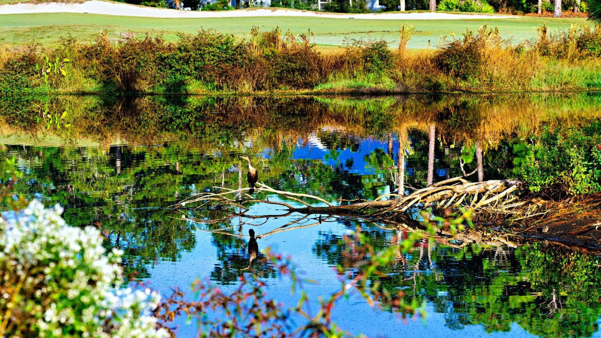 Big Blackjack Landing St James Bay Golf & Pickleball Resort المظهر الخارجي الصورة